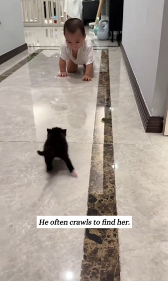 C2610024_Came across dirty kitten on walk and… (Part 1)#fyp #animals #re…_part2