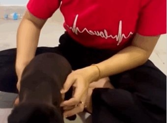 C2810004_girl saved life of puppy drifting on riverbank_part2