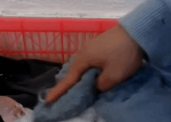 C2810013_strong vitality of drowned cat, thank God bringing her…_part2