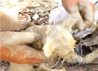 C2810023_Rescue Dog Cat #rescue #rescueanimal…_part2