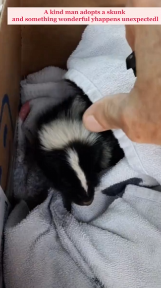 C2810030_kind man adopted skunk something wonderful happened_part2