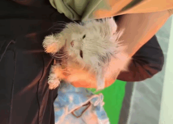 C0311002_Everyone left it like but chose to stop help it. #rescue_part2