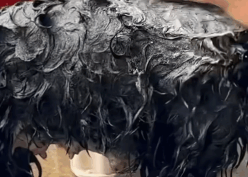 C1011004_Smart brave mother dog stopped stranger car to ask help a…_part2