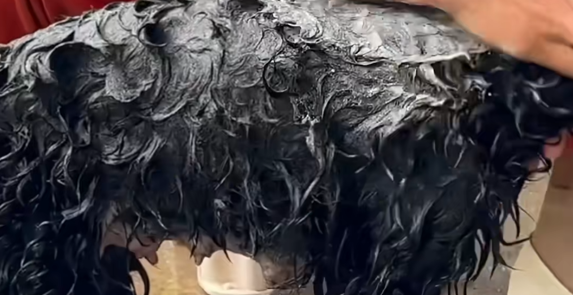 C1011004_Smart brave mother dog stopped stranger car to ask help a…_part2