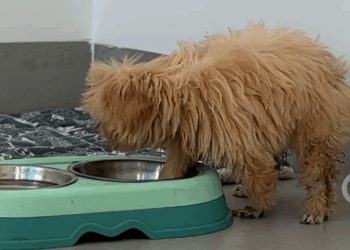 C1011005_When was at car charging station to go home after tiring day_part2