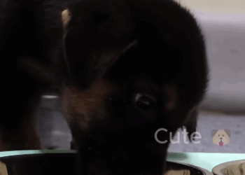 C1011021_was exercising near my house went to abandoned house when_part2