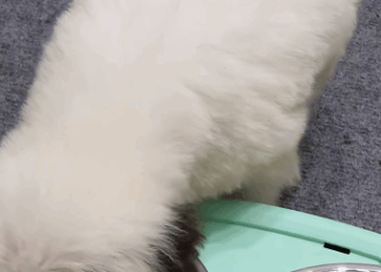 C1011024_One hot summer afternoon, was on my way home work to rest when…_part2