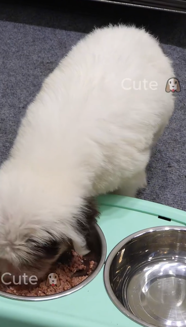 C1011024_One hot summer afternoon, was on my way home work to rest when…_part2