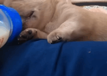 C1011030_Early morning went to exercise, it seemed like it rained heavi…_part2