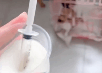 C1111016_Kittens abandoned on road during rainstorm #rescue #rescued #re…_part2