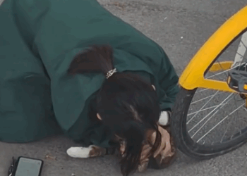 C1311007_saw stray cat fall great height. immediately gave it art…_part2