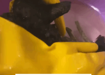 C1311017_saw very dirty stray cat outside window.It been wandering a…_part2