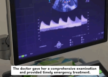 C1311021_saw mother cat lying in grass, several kittens crying ar…_part2