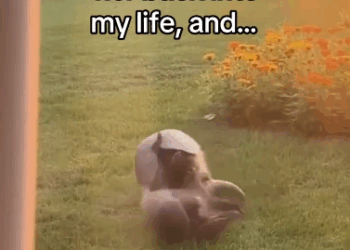 C0511005_Who saved who #wholesome #animals_part2