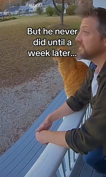 C0511006_saved him so she could save her #wholesome #animals_part2