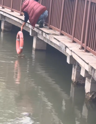 C1411026_puppy fell into river, rescued it. #rescueanimals #puppy…_part2