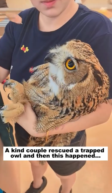 C1511008_kind couple rescued trapped owl, then happened…#rescue…_part2