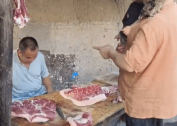 C1511013_kind woman rescued baby owl asked help then…#love_part2