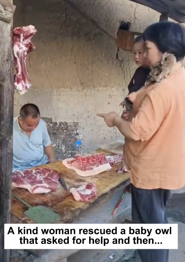 C1511013_kind woman rescued baby owl asked help then…#love_part2