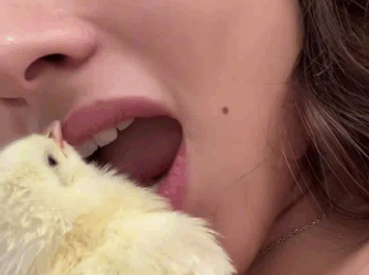 C1511023_kind couple rescued fallen chick on road then…#lovestor…_part2