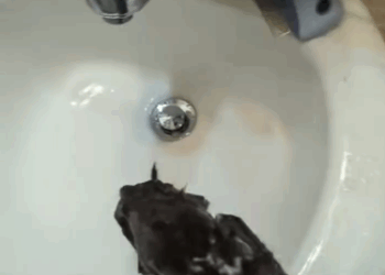 C1711007_couple rescues kitten trapped inside an iron pipe then…_part2