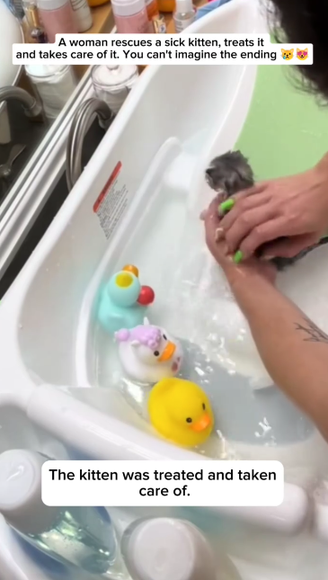 C1711011_woman rescues sick kitten, treats it takes care of it. You ca…_part2
