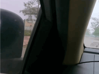 C2011021_found puppy adopted him #rescue #animals #rescueanimals #resc…_part2