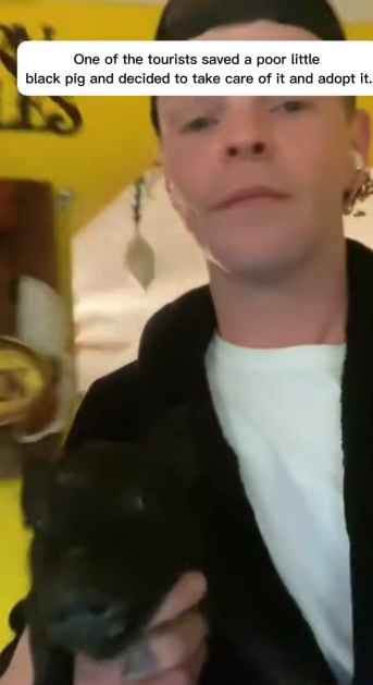 C2411004_Leopard Attacked Him… But Love Saved Him Wild Piglet In…_part2