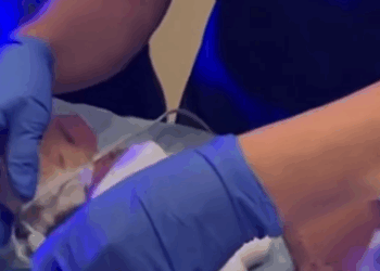 C2411029_We Found Fox Caught in Trap You Won Believe What Happened N…_part2