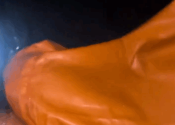 C2611006_On my way home,suddenly little thing ran up to me then #rescue_part2