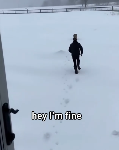 C2711004_helped mother coyote save her three cubs #artificialintelligence_part2