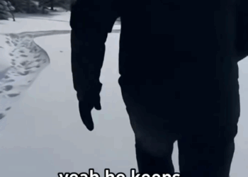 C2711009_wolf came to ask help,and then #fyp #warm #animalrescue #save_part2