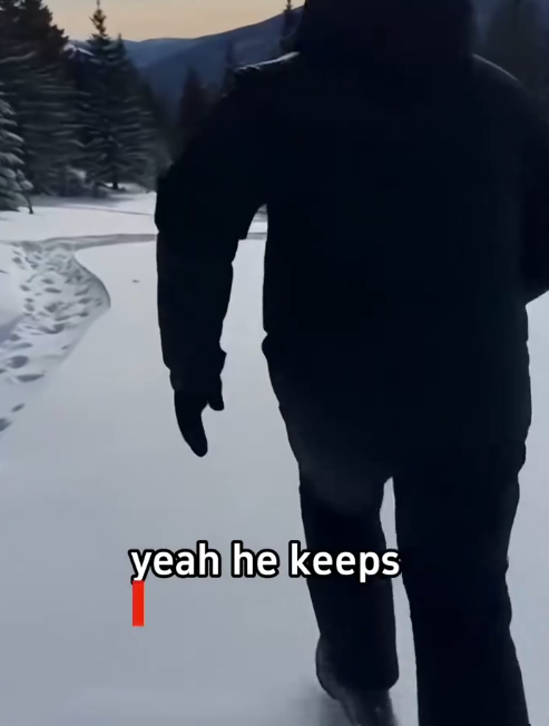 C2711009_wolf came to ask help,and then #fyp #warm #animalrescue #save_part2