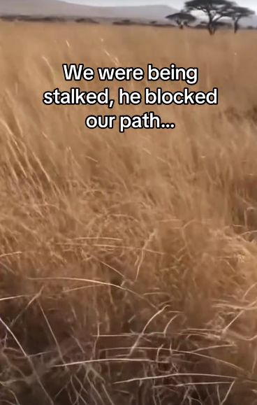 C2711026_TikTok_part2