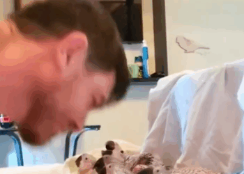 C0611013_Rescuing flock of baby parrots abandoned by their mother in for…_part2