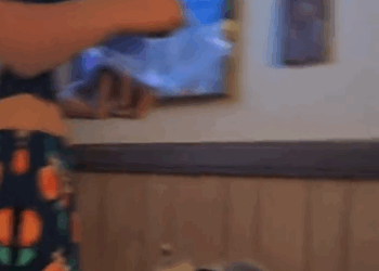 C0711005_My dog found an opossum on my fence adopted it #animals #rescue…_part2