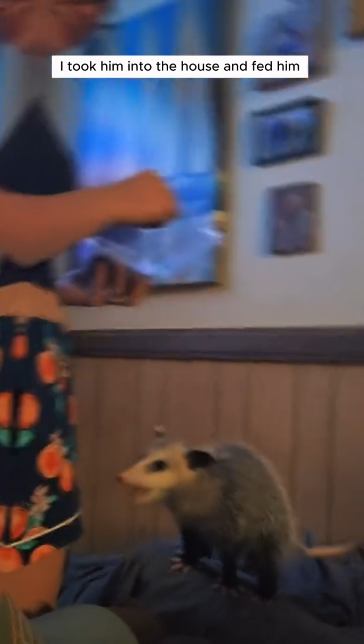 C0711005_My dog found an opossum on my fence adopted it #animals #rescue…_part2