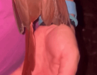 C0711016_My son found cardinal in our backyard we adopted it #animals #r…_part2