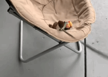 C0311008_girl found tiny baby on road then #rescue #rescueani…_part2