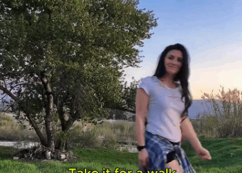 C0811021_Adopted poor abandoned porcupine #porcupine #lovestory #rescuea… (1)_part2