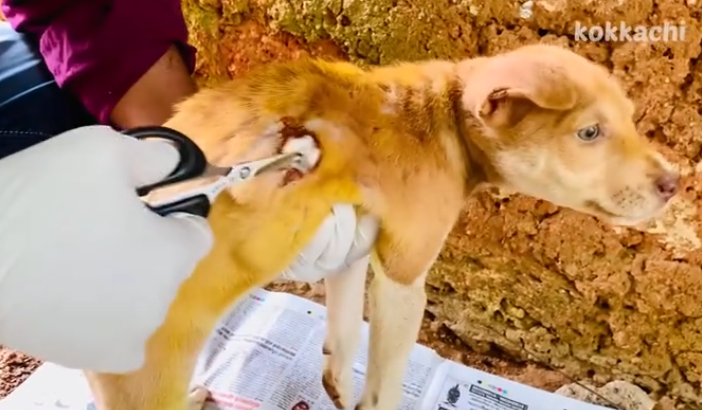 C0112012_This fragile soul drained by endless pain #hopeagain #save_part2