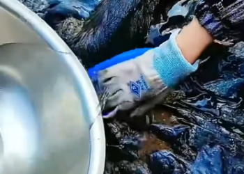 C0912003_cat was abandoned many days then discovered rescued by