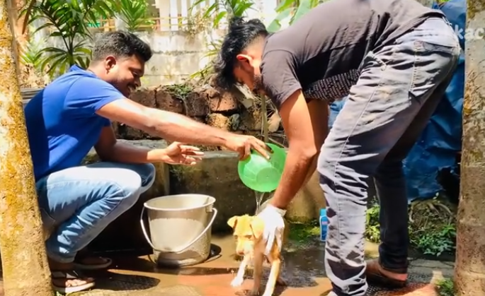 C0112013_A tortured being shaking in fear #rescuemission #helpthem_part2