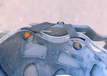 C0912014_Cute puppy #rescue #rescuedog #rescuepuppy #res…