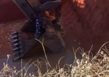 C0912022_girl used an excavator to save dog stuck in deep hole then