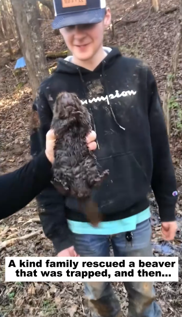 C1012007_kind family rescued beaver was trapped, then…#lovestor…