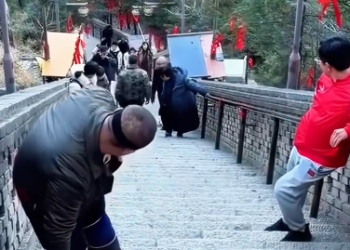 C1212005_little dog was resting on steps when it was chased kicked b…