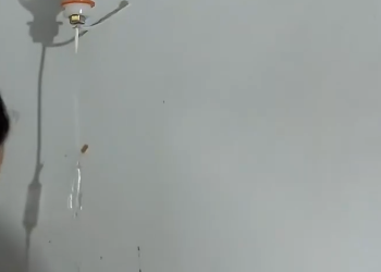 C1212019_On my way home after work, saw puppies running all over road, I…_trimmed_trimmed