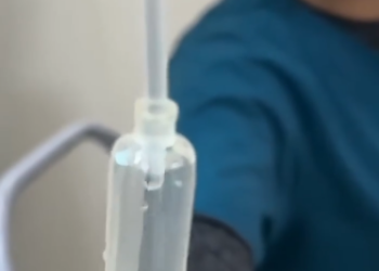 C1212029_mother cat cared her kittens so devotedly she passed out…_trimmed_trimmed