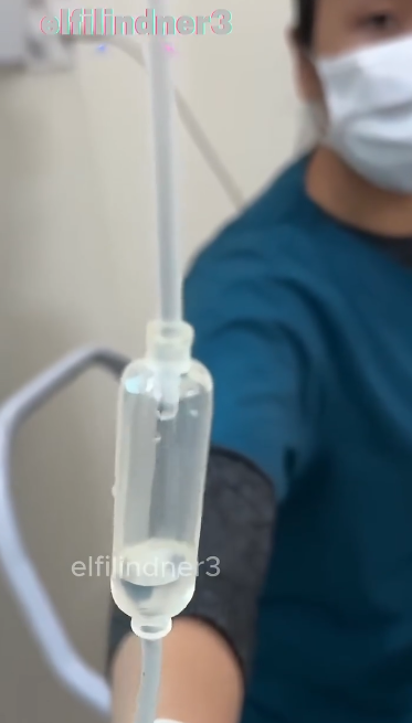 C1212029_mother cat cared her kittens so devotedly she passed out…_trimmed_trimmed